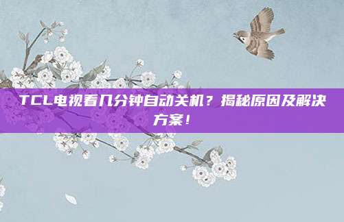 TCL电视看几分钟自动关机?揭秘原因及解决方案!