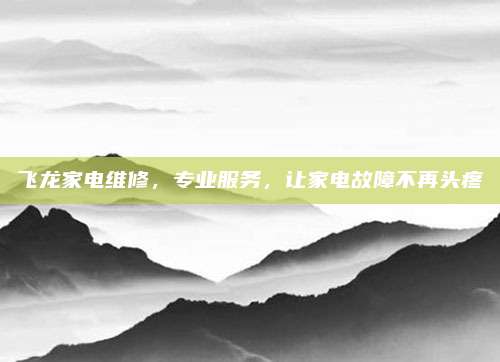 飞龙家电维修,专业服务,让家电故障不再头疼