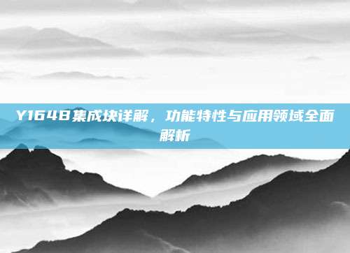 Y164B集成块详解,功能特性与应用领域全面解析