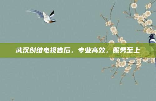 武汉创维电视售后，专业高效，服务至上