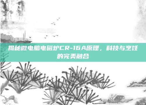 揭秘微电脑电磁炉CR-16A原理，科技与烹饪的完美融合