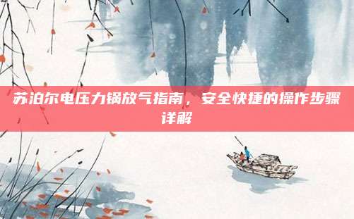 苏泊尔电压力锅放气指南,安全快捷的操作步骤详解