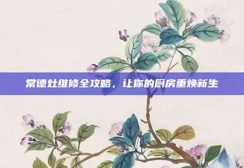 常德灶维修全攻略,让你的厨房重焕新生