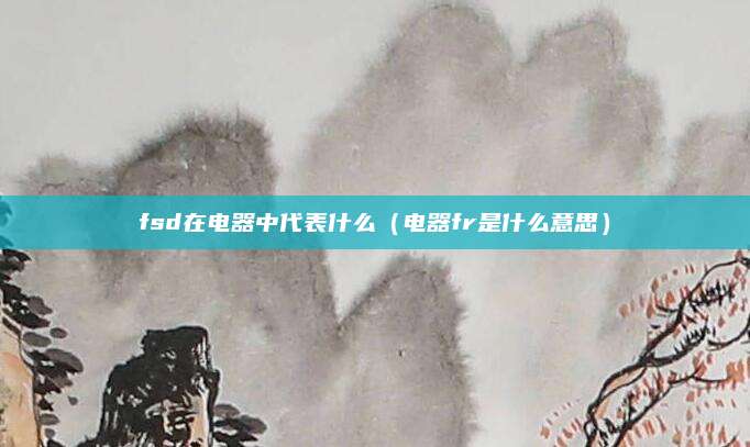 fsd在电器中代表什么（电器fr是什么意思）