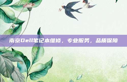 南京Dell笔记本维修,专业服务,品质保障