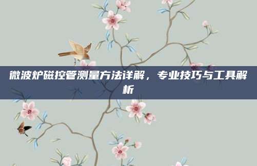 微波炉磁控管测量方法详解，专业技巧与工具解析