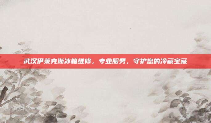 武汉伊莱克斯冰箱维修,专业服务,守护您的冷藏宝藏