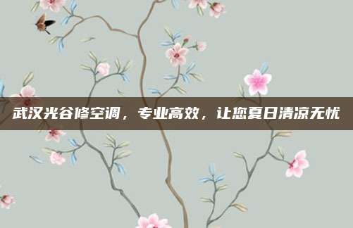 武汉光谷修空调,专业高效,让您夏日清凉无忧
