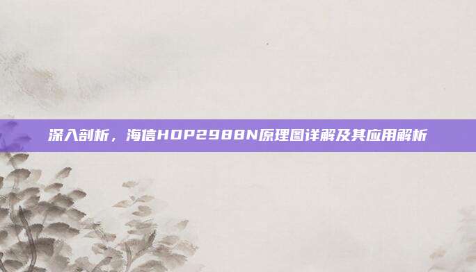 深入剖析，海信HDP2988N原理图详解及其应用解析