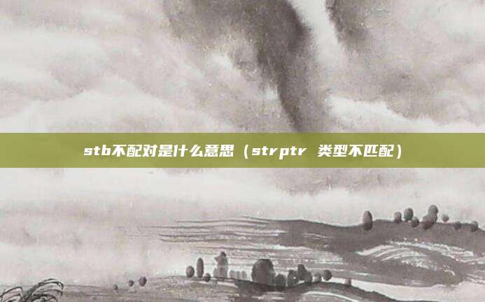 stb不配对是什么意思(strptr 类型不匹配)