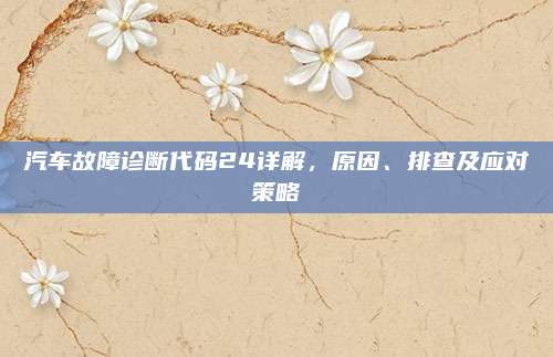 汽车故障诊断代码24详解，原因、排查及应对策略