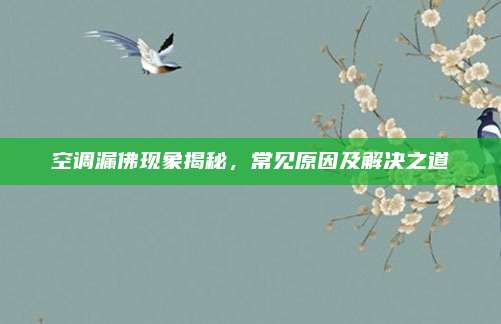 空调漏佛现象揭秘，常见原因及解决之道