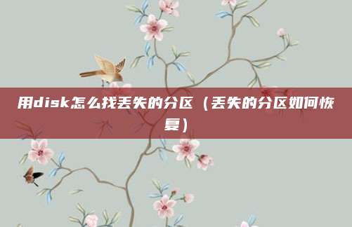 用disk怎么找丢失的分区（丢失的分区如何恢复）