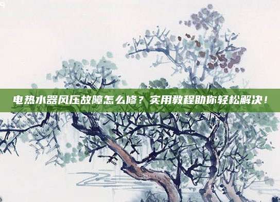 电热水器风压故障怎么修？实用教程助你轻松解决！