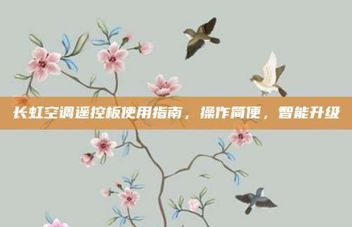长虹空调遥控板使用指南，操作简便，智能升级