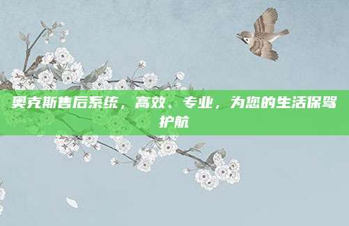 奥克斯售后系统，高效、专业，为您的生活保驾护航