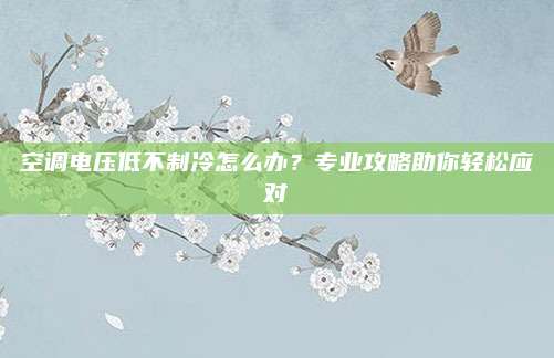 空调电压低不制冷怎么办？专业攻略助你轻松应对
