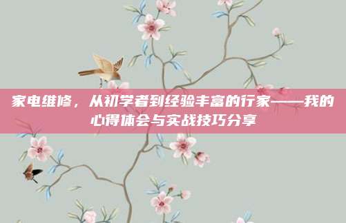 家电维修，从初学者到经验丰富的行家——我的心得体会与实战技巧分享