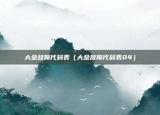 大金故障代码表(大金故障代码表04)