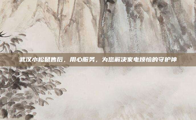 武汉小松鼠售后，用心服务，为您解决家电烦恼的守护神