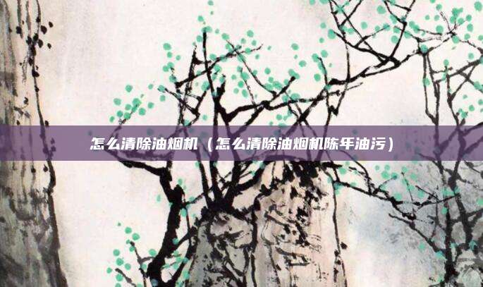 怎么清除油烟机(怎么清除油烟机陈年油污)