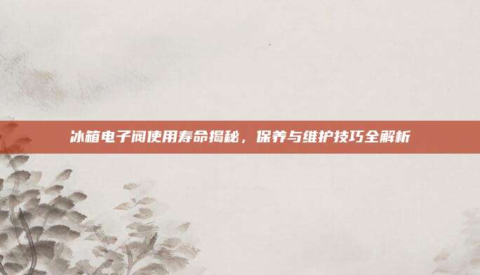 冰箱电子阀使用寿命揭秘，保养与维护技巧全解析