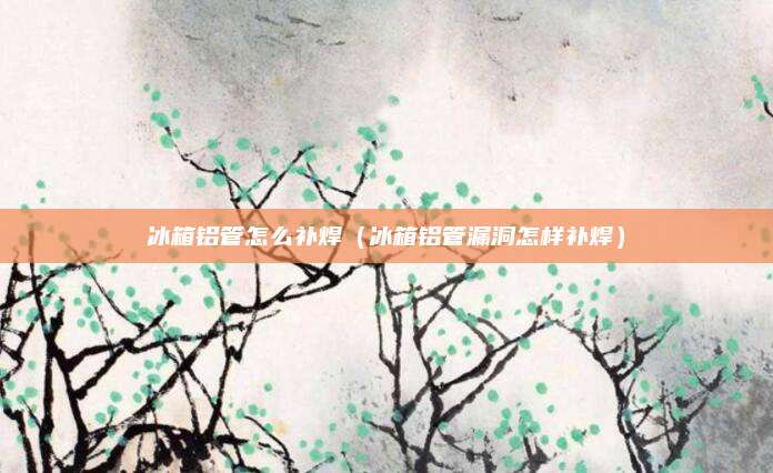 冰箱铝管怎么补焊（冰箱铝管漏洞怎样补焊）