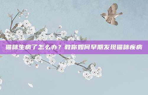 猫咪生病了怎么办？教你如何早期发现猫咪疾病