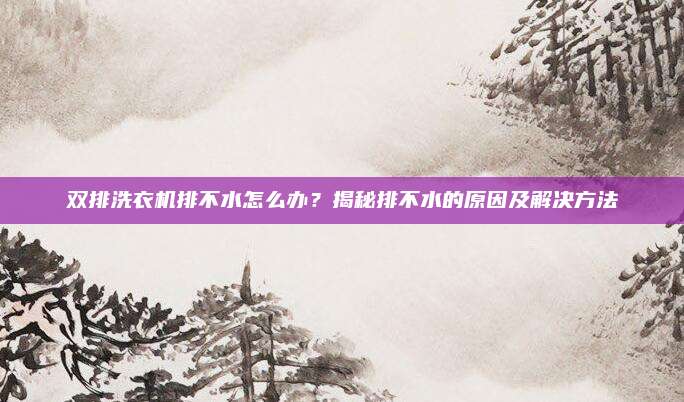 双排洗衣机排不水怎么办？揭秘排不水的原因及解决方法