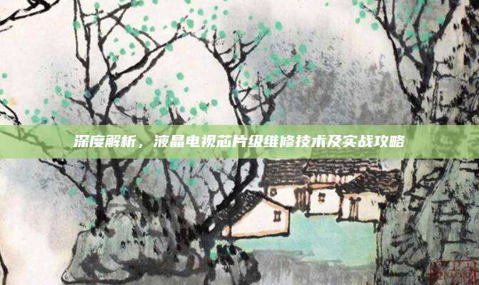 深度解析，液晶电视芯片级维修技术及实战攻略