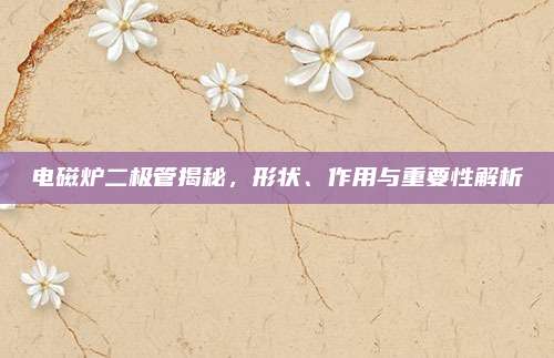 电磁炉二极管揭秘，形状、作用与重要性解析