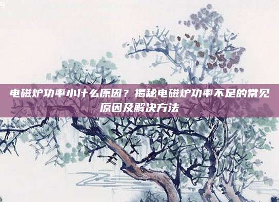 电磁炉功率小什么原因？揭秘电磁炉功率不足的常见原因及解决方法