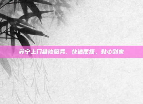 苏宁上门维修服务，快速便捷，贴心到家