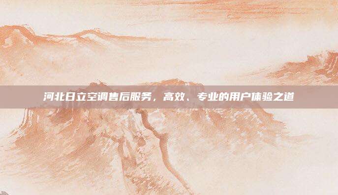 河北日立空调售后服务，高效、专业的用户体验之道