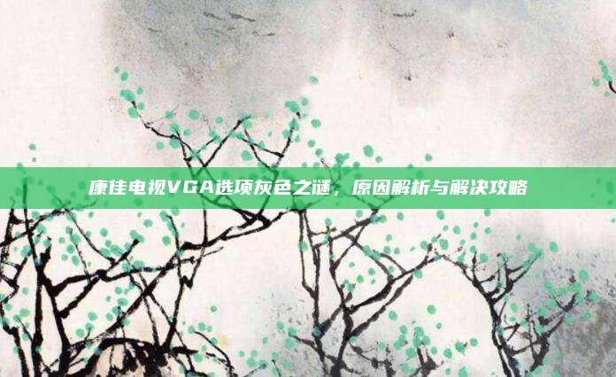 康佳电视VGA选项灰色之谜，原因解析与解决攻略
