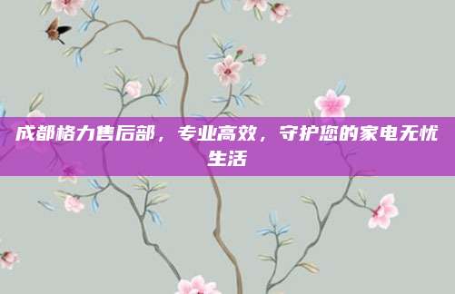 成都格力售后部，专业高效，守护您的家电无忧生活
