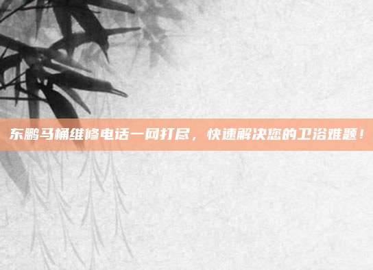 东鹏马桶维修电话一网打尽，快速解决您的卫浴难题！