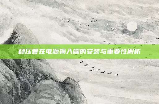 稳压管在电源输入端的安装与重要性解析