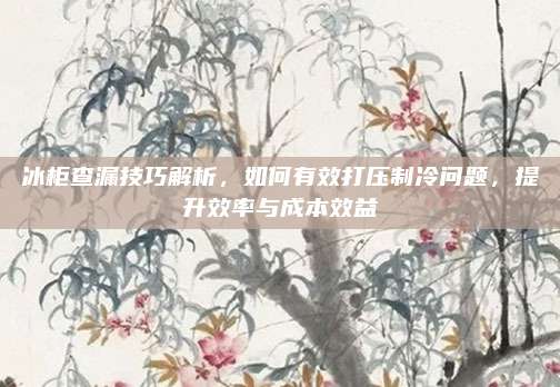 冰柜查漏技巧解析，如何有效打压制冷问题，提升效率与成本效益