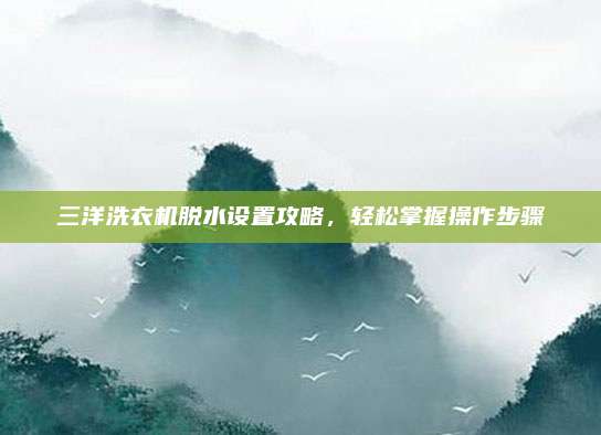 三洋洗衣机脱水设置攻略，轻松掌握操作步骤