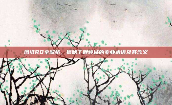 图纸RD全解析,揭秘工程领域的专业术语及其含义