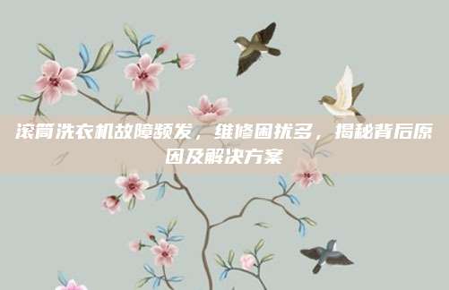 滚筒洗衣机故障频发，维修困扰多，揭秘背后原因及解决方案