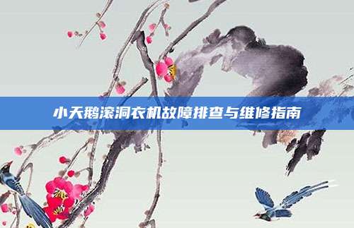 小天鹅滚洞衣机故障排查与维修指南