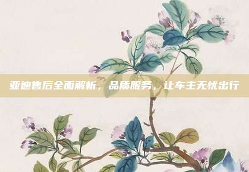 亚迪售后全面解析，品质服务，让车主无忧出行