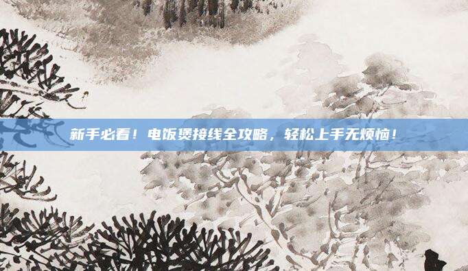 新手必看！电饭煲接线全攻略，轻松上手无烦恼！