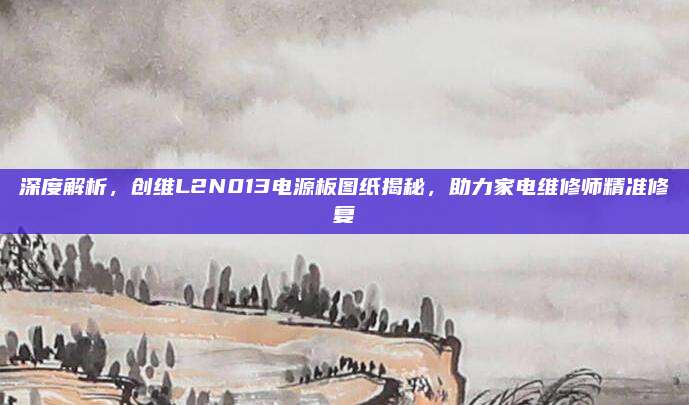 深度解析，创维L2N013电源板图纸揭秘，助力家电维修师精准修复
