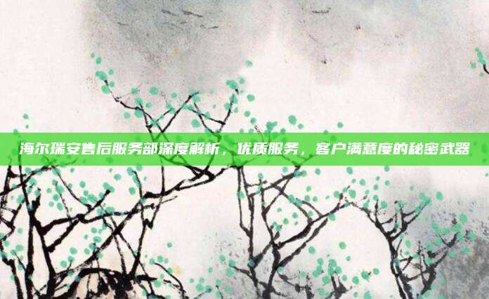 海尔瑞安售后服务部深度解析，优质服务，客户满意度的秘密武器