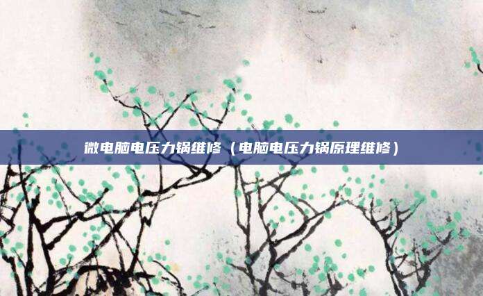 微电脑电压力锅维修（电脑电压力锅原理维修）