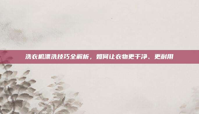 洗衣机漂洗技巧全解析,如何让衣物更干净、更耐用