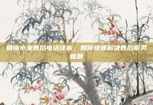 盘锦小米售后电话详析,如何快速解决售后服务难题